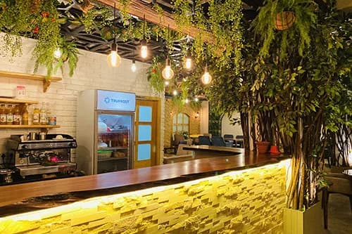 Backlit yellow stone cafe counter with a coffee machine under hanging greenery and trees